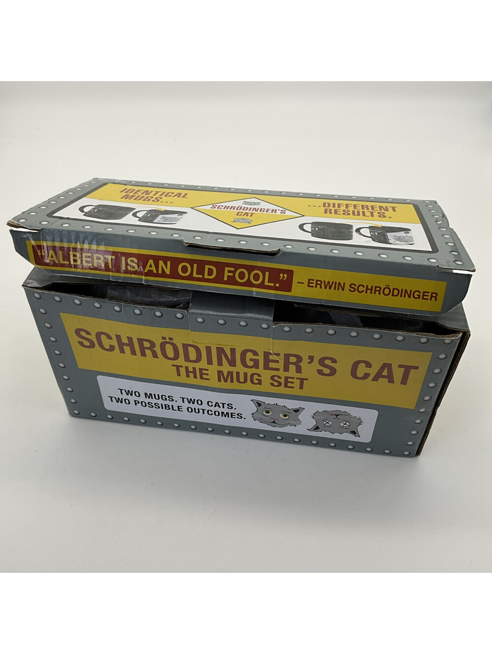 Schrodinger's Cat Heat Change 2 Coffee Mugs Set Unemployed Philosophers Guild